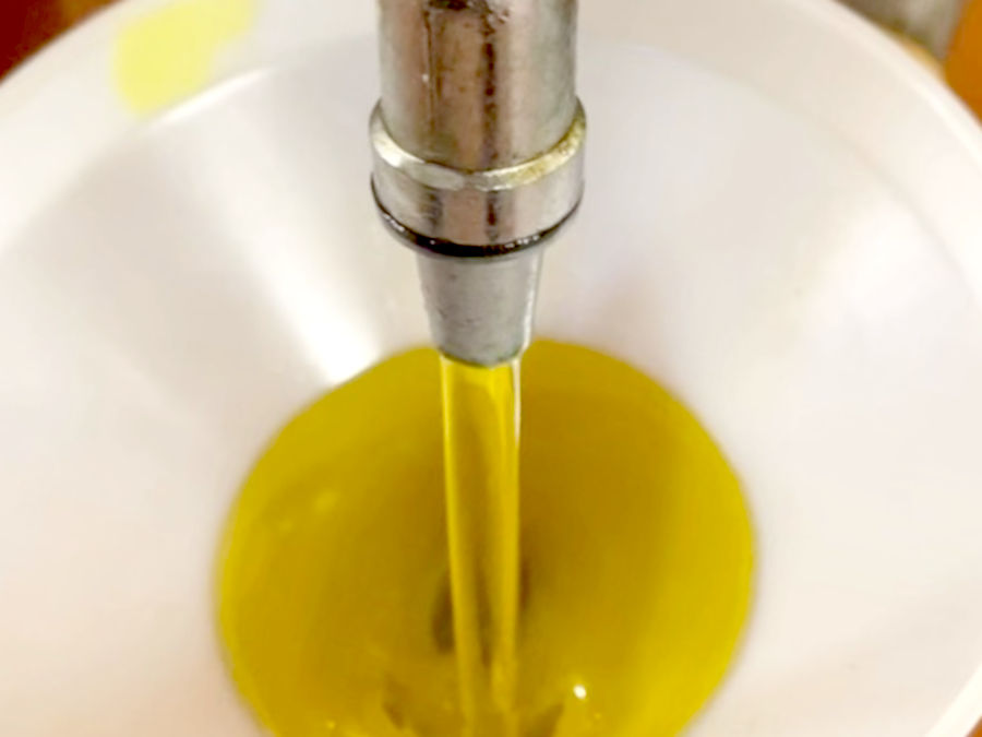 Riempimento di una bottiglia con il nostro Olio