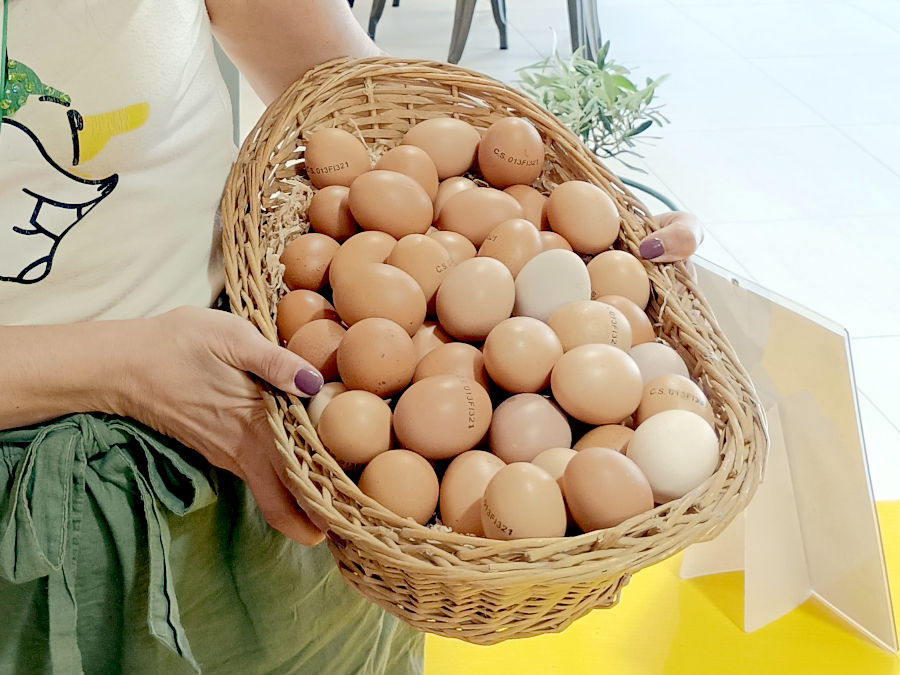 Le nostre uova fresche da galline allevate all'aperto